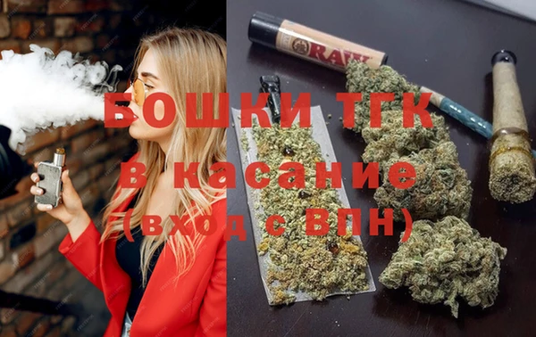 шишки Нягань