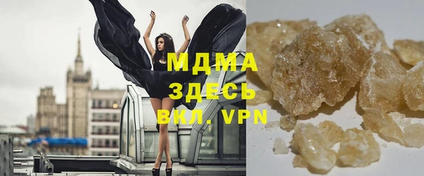 индика Новозыбков