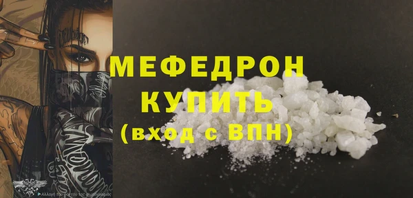 индика Новозыбков