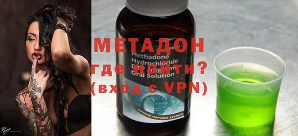 индика Новозыбков