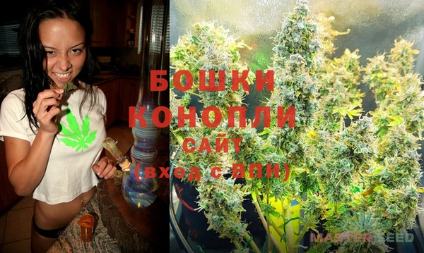 шишки Нягань