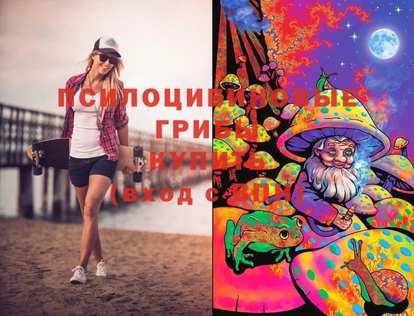 шишки Нягань