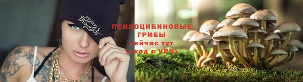 гидропоника Няндома
