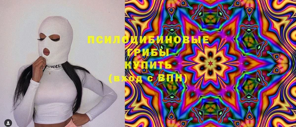 гидропоника Няндома