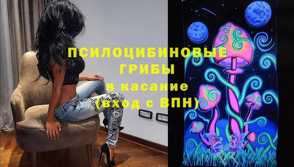 гидропоника Няндома