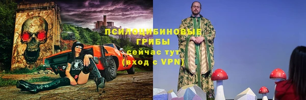 шишки Нягань